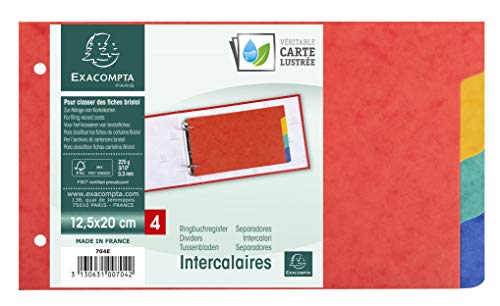 Exacompta 704E Separadores para fichas Bristol de cartulina lustrada 225g/m2 4 posiciones, 125x200 mm