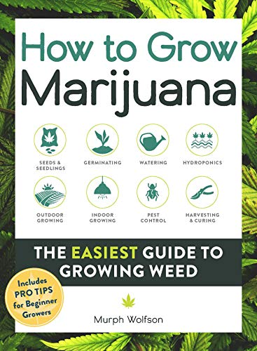 How to Grow Marijuana: The Easiest Guide to Growing Weed