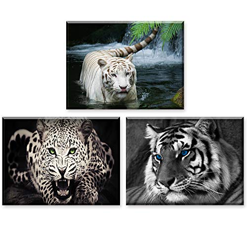 PIY PAINTING, Cuadro En Lienzo, Guepardo Y Tigre Foto, Listo para Colgar Fotos con Marco, Animales Imágenes para Hogar Decoración, Arte De Pared Fotos para Regalo De Cumpleaños (30x40cm, 3pics)