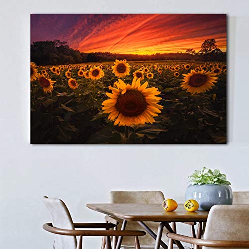 QAZEDC con Marco Cuadros Decorativos Póster de impresión de Arte Moderno amaneceres y atardeceres Campos de Girasoles Naturaleza Cuadro de Pared Lienzo Pintura decoración para Sala de Estar Regalo