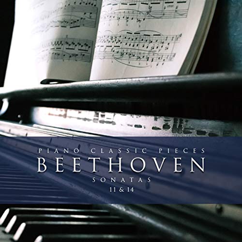 Sonata No. 11 Bb Major, Op. 22: 1 Allegro Con Brio