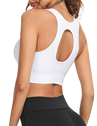 Sykooria Sujetador Deportivo Deporte para Mujer Ropa Interior Mujer Push Up con Almohadillas Extraíbles Espalda Deportiva Bra Deporte sin Costuras para Yoga Fitness Run Ejercicio Correr