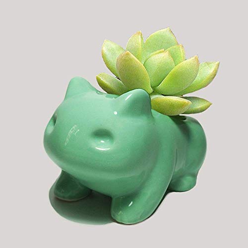 WLGQ Rishx Pokemon Maceta de Flores Bonsai decoración de Escritorio florero de cerámica hogar Oficina decoración de jardín Anime Bulbasaur Maceta de Plantas suculentas