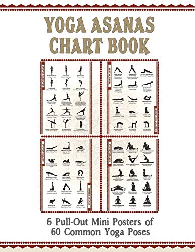 Yoga Asanas Chart Book: lllustrated Yoga Pose Chart with 60 Poses (aka Postures, Asanas, Positions) - Pose Names in Sanskrit and English - Great for ... 6 Small 11x17" Pull-Out Posters Within) - Whi