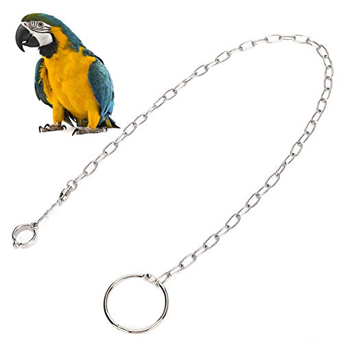 Yuehuam Cadena de Pie de Loro Cadena de Pie de Pájaro de Acero Inoxidable para Mascotas con Anillo Anillo de Entrenamiento de Tobillo de Loro para Diferentes Tipos Y Tamaños de Loros (11