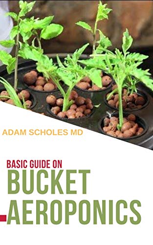 BASIC GUIDE ON BUCKET AEROPONICS : Everything You Need To Know About Running a Bucket Aeroponics Yourself (English Edition)