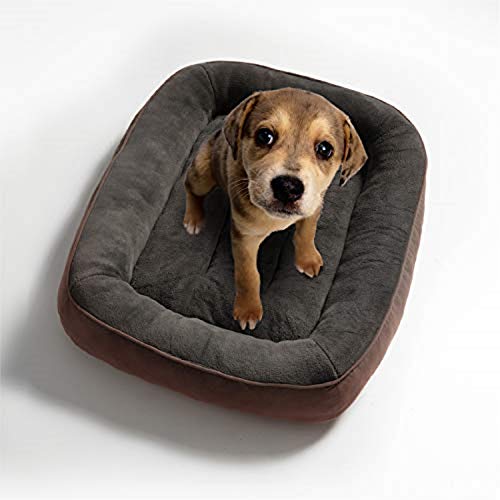 Bedsure Cama para Perros Pequeños Lavable M - Colchon Perro Cómoda de Felpa Muy Suave - Sofá de Perro 81x58cm,Marrón