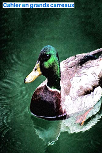 Cahier en grands carreaux: beau canard coloré dans une rivière verte: 103 pages, 15,24 x 22,86 cm (6" po x 9" po), réglure Seyès en blanc et noir avec ... étudiant, élève, école et université