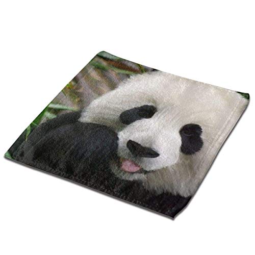 Cute Panda (2) Fashion Square Towel,Luxury Washcloths for Easy Care Extra Soft and Absorbent