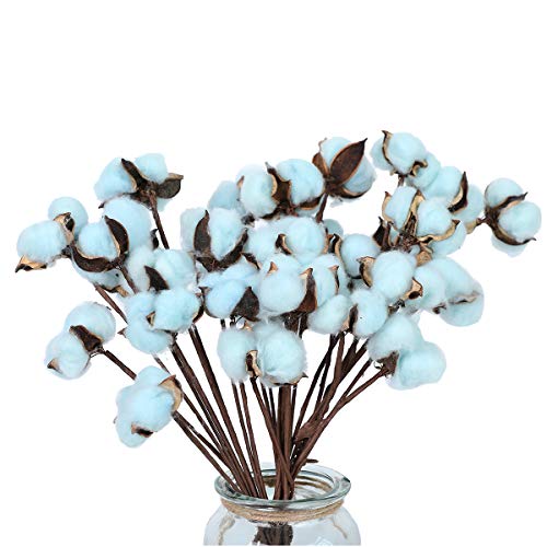 Floralsecret 30 Piezas de Tallos de algodón, Flores Decorativas, Relleno de Corona, Palillos de algodón Natural (Azul)