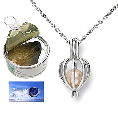 QKFON Wish Pearl Kit Creaciones de perlas de amor con colgante de 17.7 pulgadas, collar de joyería creativo, collar de regalo con caja de perlas en ostra duradero para mujeres y niñas