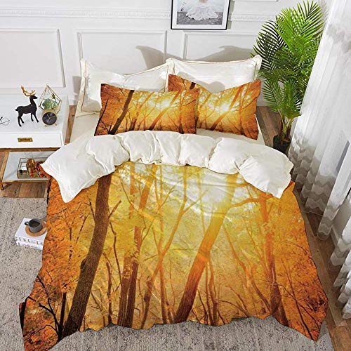 ropa de cama - Juego de funda nórdica, decoración de la granja, bosque otoñal con ramas Sun Beam Woods Imagen escénica monocromática de la naturaleza, juego de funda nórdica de microfibra hipoalergéni