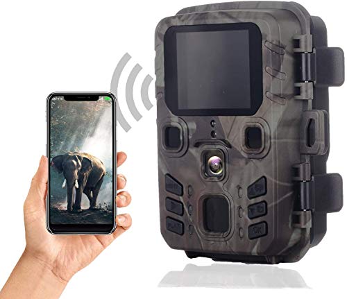 Suntekcam - Mini cámara de caza WiFi de 24 MP 1296P con Bluetooth, wifi con detector de movimiento, visión nocturna, cámara de caza salvaje con movimiento de visión nocturna, resistente al agua IP66