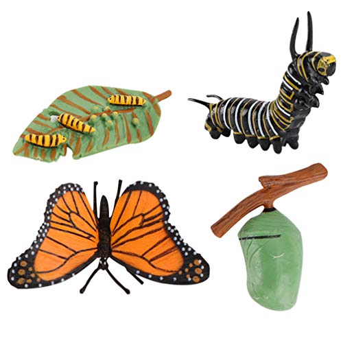 TOYANDONA 4 piezas números del ciclo de vida de mariposa, insectos, biología, ciencia, modelo, juguete educativo, educación, evolución, juguete para niños