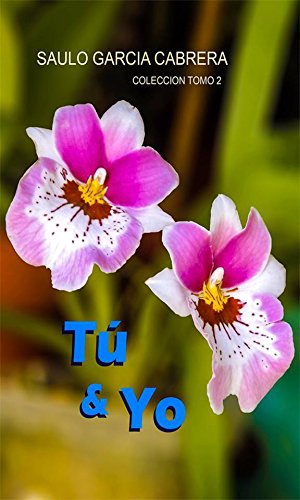 Tu y Yo (Colección Tomo 2)