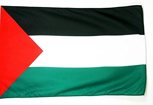 AZ FLAG Bandera de Palestina 250x150cm para Palo - Bandera Palestina 150 x 250 cm