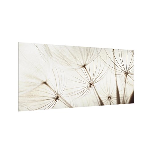 Bilderwelten Panel antisalpicaduras de Cristal - Gentle Grasses - Horizontal 1:2, Panel antisalpicaduras Panel de Vidrio para Cocina Panel Protector contra Salpicaduras, Tamaño: 40cm x 80cm