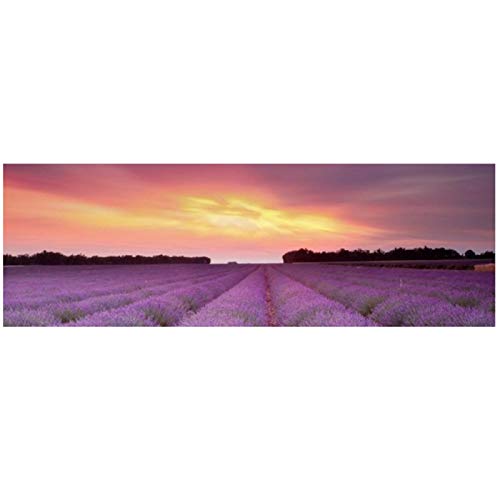 Carteles e impresiones de paisajes naturales de lavanda provenzal, lienzo artístico, cuadro de pared nórdica para sala de estar