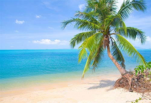 Cassisy 3x2m Vinilo Mar Telon de Fondo Tropical Playa de Arena Cielo Azul Nubes Blancas Palmera de Cocos Fondos para Fotografia Party Photo Studio Props Photo Booth