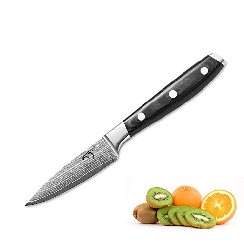 Cuchillo Para Damasco de 3,5 Pulgadas, Pro Grade 67 Layer VG-10 Cuchillo Ultra Afilado de Acero Inoxidable, Cuchillo de Cocina Con Mango Ergonómico, Presentado en Caja de Regalo