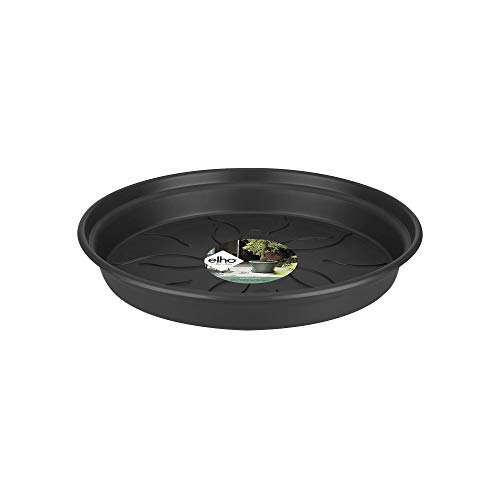 Elho Green Basics Saucer Plato, Negro(Living), 25,3x25,3x3,7 cm