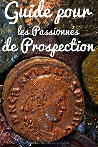 Guide pour les Passionnés de Prospection: Journal de prospection | Détection de métaux | Pour les passionnés d'Histoire, de trouvaille, de pièces | ... avec fiches, 121 pages, 6 x 9 pouces |