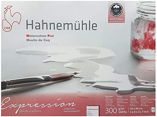 Hahnemühle Expression - Cartiluna de acuarela, 100% algodón, mate, 300 g/m², 30 x 40 cm, 20 hojas, fabricado en Alemania