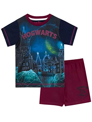 HARRY POTTER Pijamas para Niños Hogwarts Azul 10-11 Años