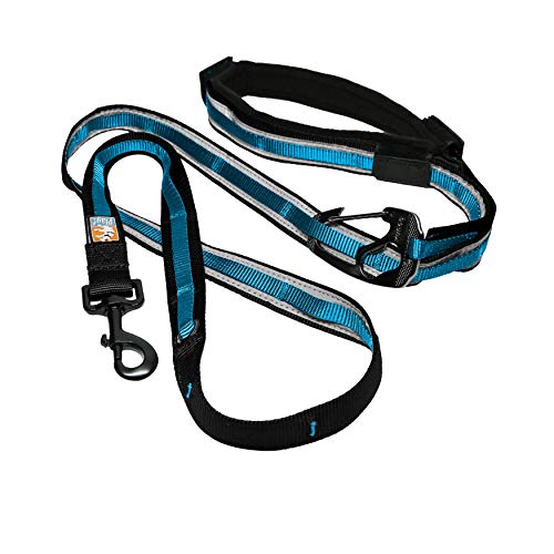 Kurgo Correa Manos Libres para Perro - Correa de Cintura Ajustable para Correr - Correa Reflectante para Pasear - Estilo Quantum - Disponible en Azul Rojo y Azul o Naranja