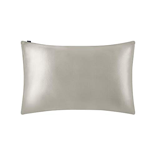 LilySilk Funda de Almohada de 100% Seda de Mora Natural 19 Momme 1 Unidad con Caja de Regalo - con Tacto Muy Suave y Super Transpirabilidad - Prevención de la Caída de Cabello 40x80cm Gris Plata