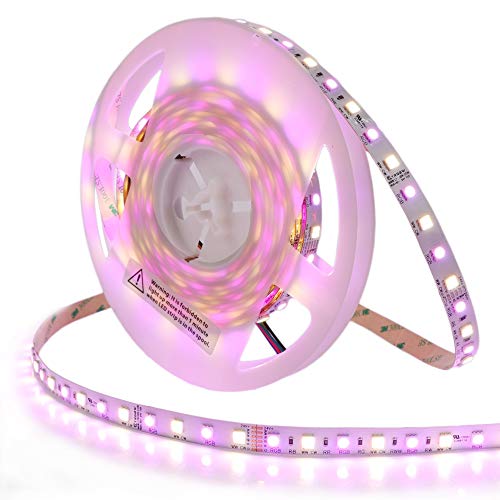 LTRGBW 5050 RGB-CCT Ajustable Color Blanco 360 LEDs 24V 72W RGB + CW-WW 5 Colores Luces LED Tiras 5M No Impermeable