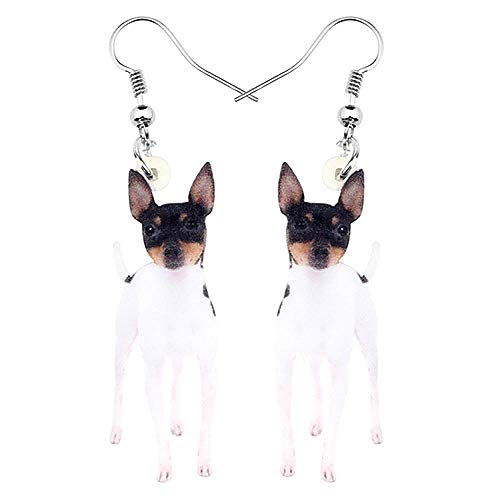 N\A Pendientes acrílicos de Perro de Juguete de Zorro, Pendientes Grandes con Colgante de Cuerno Largo, Accesorios para Mascotas de Animales Bonitos, decoración Multicolor para Mujeres y niñas