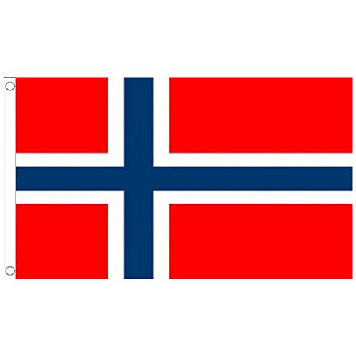 Naicasy Bandera Noruega de 150 x 90 cm