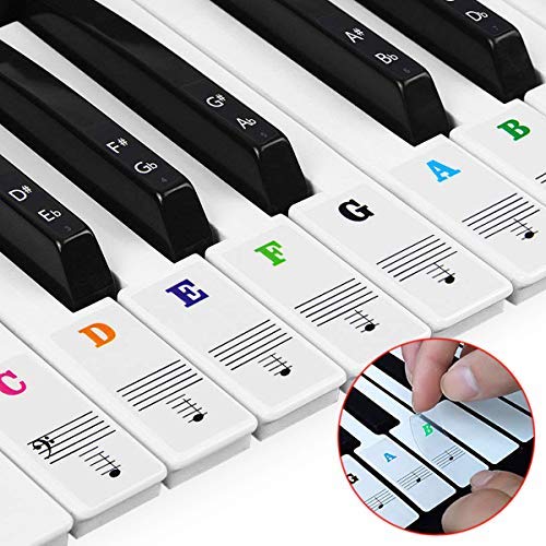 Natuce piano pegatinas para 37/49/54/61/88 Teclas, Pegatinas pianos teclados, Pegatinas para teclados, Etiqueta engomada del teclado de piano,Pegatina Teclado Electrónico, transparente (multicolor)