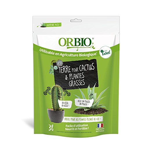 Oro marrón obitccac3 – Sustrato Cactus y Plantas Grasses, Verde, 3 L