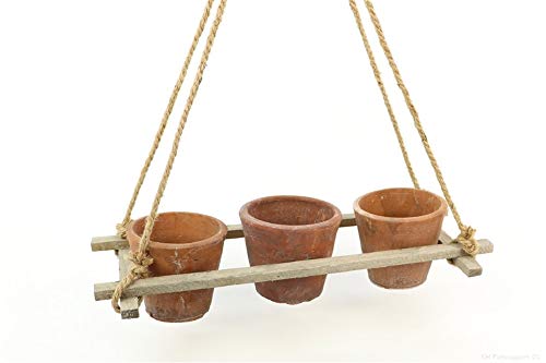 Pandecor - Perchero de Madera con Tres macetas de Terracota 41 x 18 cm. 59 cm.