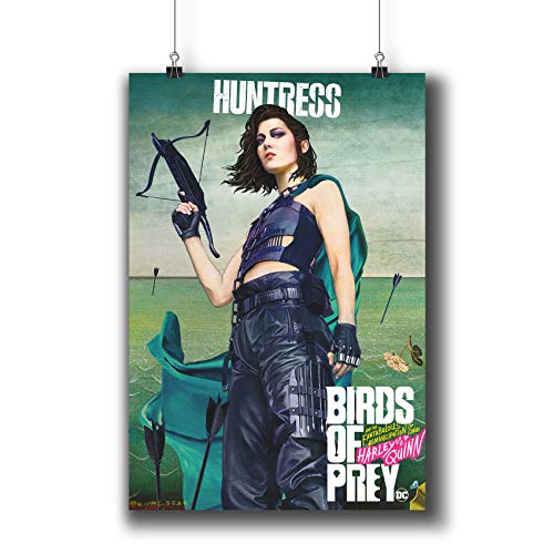 Póster de la película Pentagonwork Birds of Prey DC Comics A4 21 x 29 cm, impresiones con pegatinas 2020, Mary Elizabeth Winstead Huntress, 1243-109