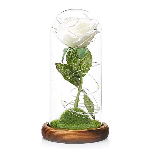 SOOTOP Forever Rose Flowers Kit, Colorida Rosa de Seda y luz LED en cúpula de Vidrio sobre Base de Madera para decoración del hogar, Fiestas, Bodas, Aniversario, día de la Madre