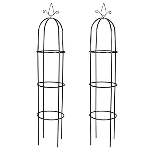 Tidyard 2xArco de Jardin para Plantas en Forma de Torre Soporte de Plantas Arco para Rosas Arco de Flores para Jardín Patio Terraza Hierro Verde Oscuro 38x190cm