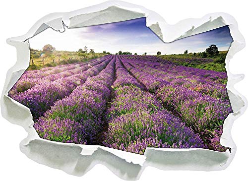 UYEDSR Pegatinas de Pared Campo de Lavanda Papel provenzal 3D Etiqueta de la Pared decoración de la Pared 3D Etiqueta de la Pared calcomanía de Pared 62x45 cm