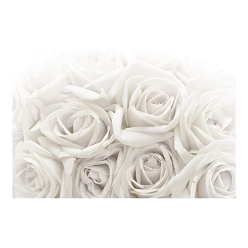 Bilderwelten Fotomural Premium - White Roses - Mural apaisado papel pintado fotomurales murales pared papel para pared foto 3D mural pared barato decorativo, Dimensión Alto x Ancho: 255cm x 384cm