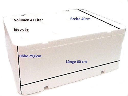 Caja térmica de poliestireno con tapa, 47,62 l; 600 x 400 x 296 mm, nevera portátil para acampar