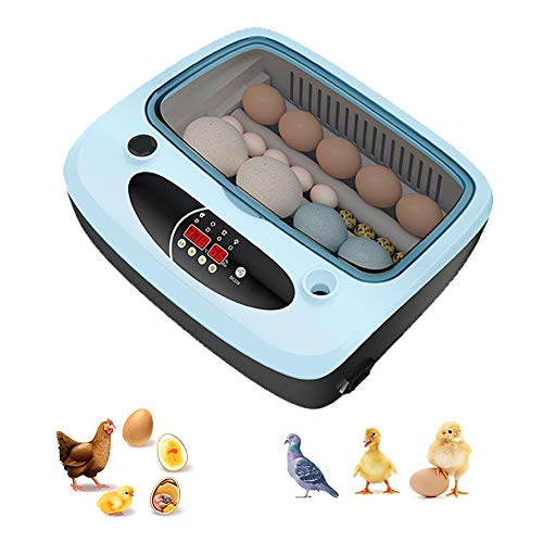 CHSHY 15-36 Incubador Automático Completo De Huevo, Torneado Automático De Huevos E Incubadora con Función De Control De Temperatura Y Humedad,15 Egg