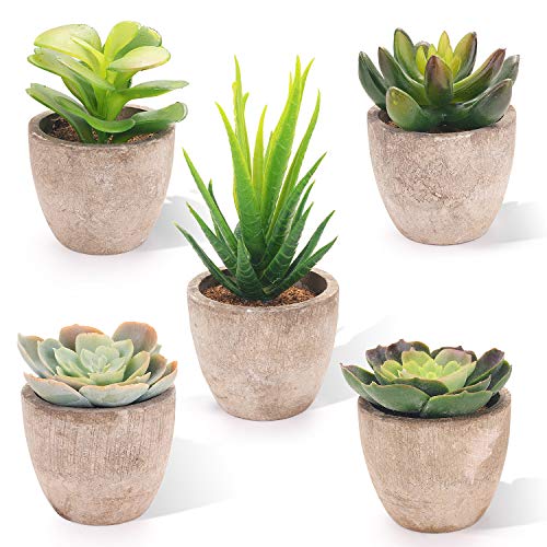 EKKONG Plantas Artificiales Suculentas Plásticas Flor pequeñas en Maceta para decoración del hogar o la Oficina Decorativa en Maceta Oficina en Casa Paquete de 4 (5 pcs)