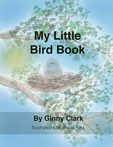 My Little Bird Book