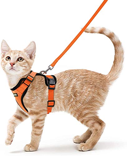 rabbitgoo Arnes Gato Antiescape,Arnés para Gato con Correa 150CM Arnes Gato Ajustable con Reflectantes de Tela de Malla Suave y Transpirable para Caminar,Entrenar,Gato Mediano y Pequeño S Naranja