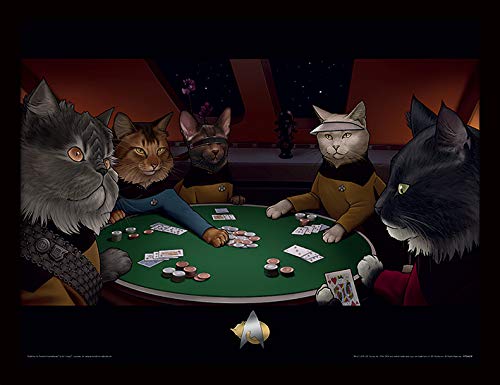 Star Trek Cats Imagen enmarcada 30 x 40 cm – Poker