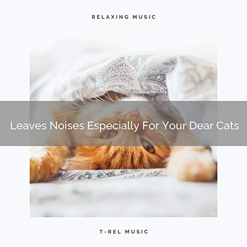 Stress Relieving Weather Tunes Especially For Home Cats