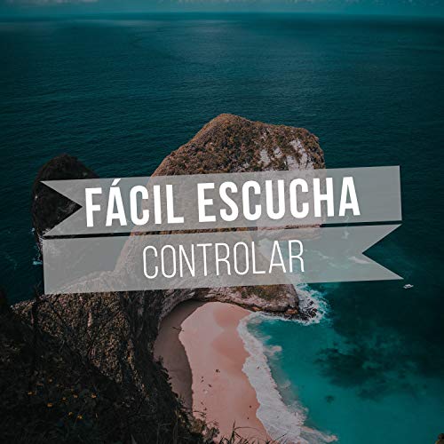 2019 Fácil Escucha Controlar