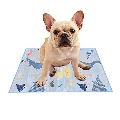 Alfombra Refrescante para Perros, Colchoneta para Dormir de Doble Cara Impermeable, a Prueba de Orina y Transpirable para Mascotas (35 x 50 CM Verde)